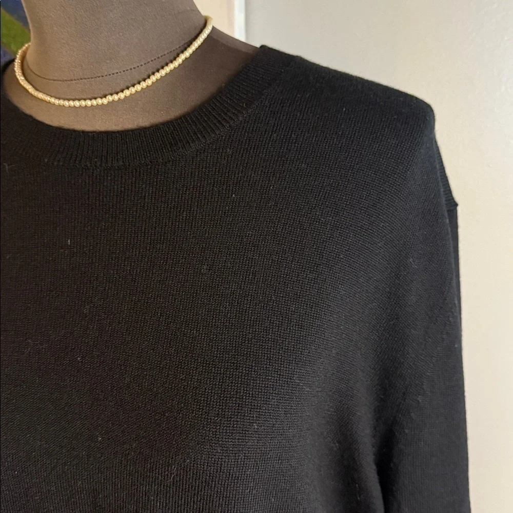 Banana Republic 100% Merino Wool Crew Neck Sweater SZ Large